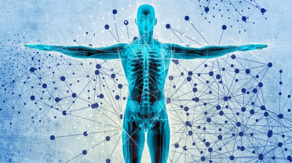 metabolomica-1024x536